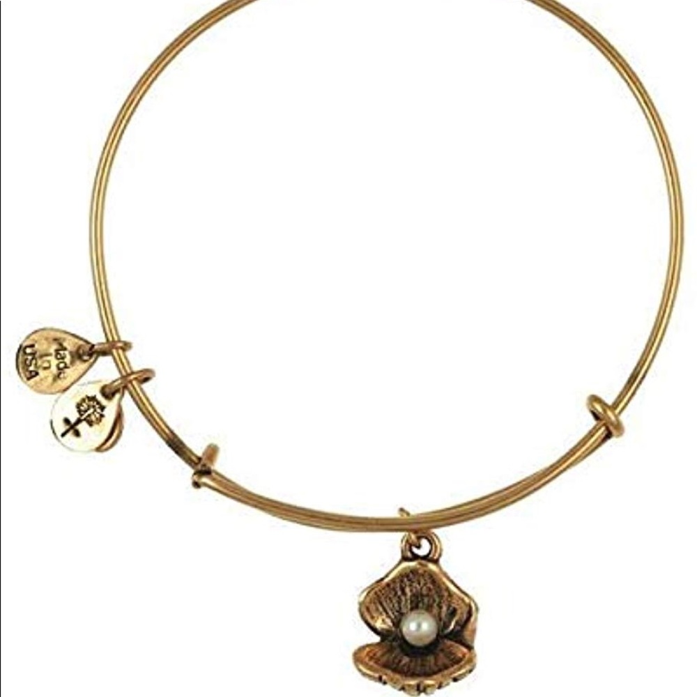 Alex & Ani Bracelet
